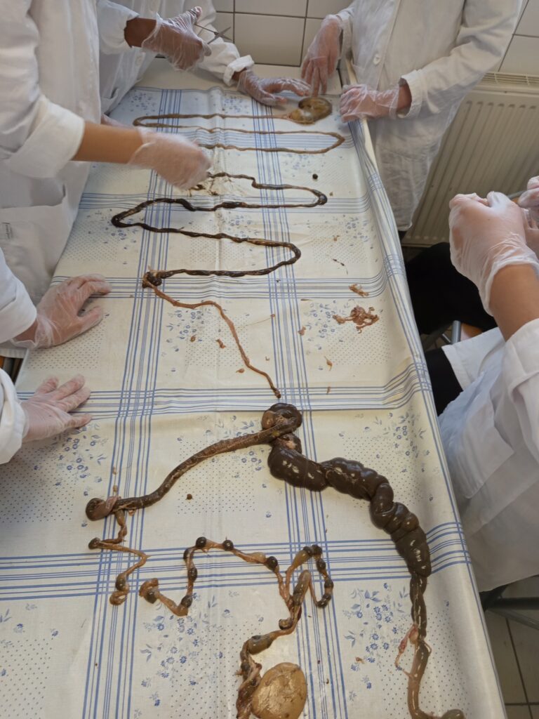 658943293_1842248333376232_1271182083326854623_n