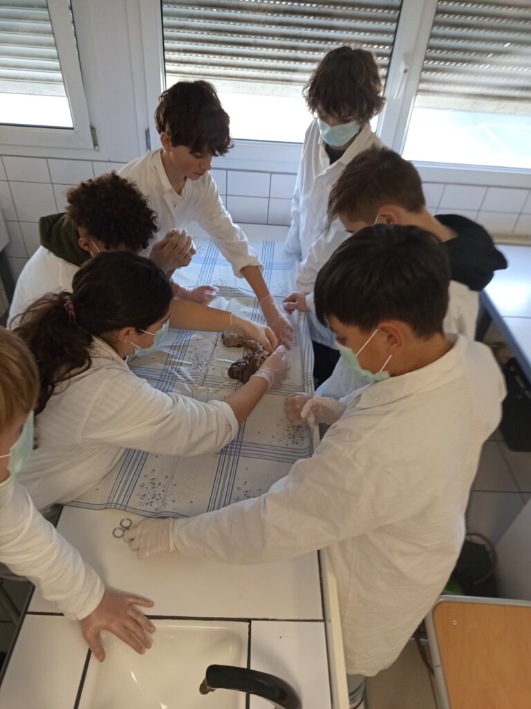 661484737_1842248186709580_3632992787576562884_n