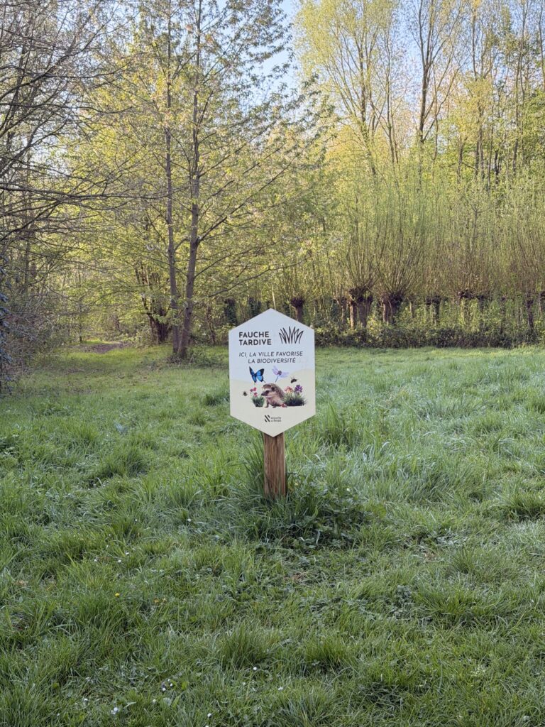 672025299_1850607789206953_1705409676474124294_n